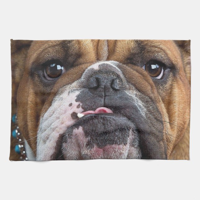 Engelska bulldog Dekorativ kudde Kökshandduk (Horisontell)