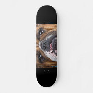 Engelska bulldog Dekorativ kudde Mini Skateboard Bräda 18,5 Cm