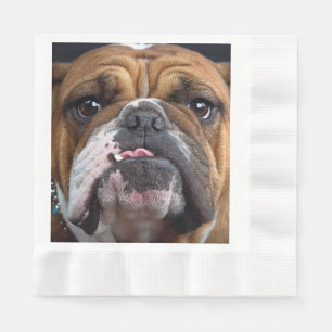 Engelska bulldog Dekorativ kudde Pappersservett