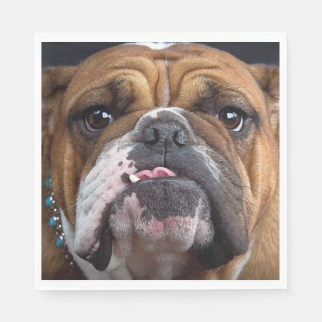 Engelska bulldog Dekorativ kudde Pappersservett (Framsidan)