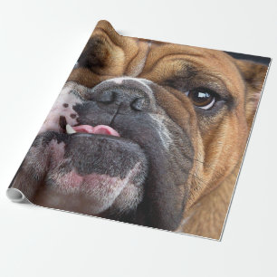 Engelska bulldog Dekorativ kudde Presentpapper