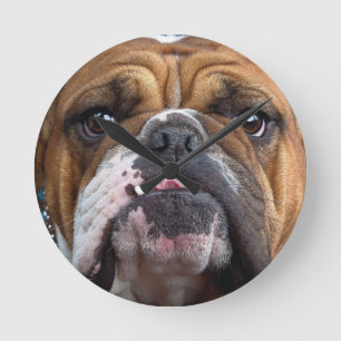 Engelska bulldog Dekorativ kudde Rund Klocka