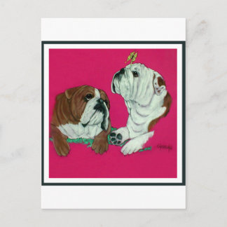 Engelska Bulldog Duo Vykort