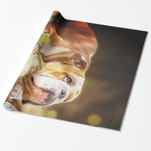 Engelska bulldog Forest Photo Presentpapper