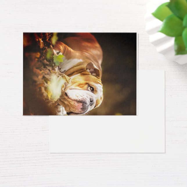 Engelska bulldog Forest Photo Visitkort (Skivbord)