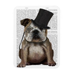 Engelska bulldog, formell hound och hatt magnet