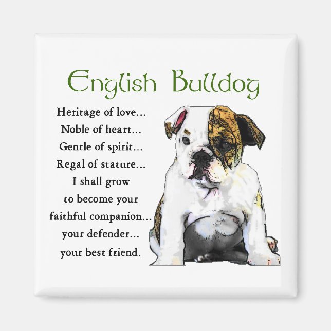 Engelska bulldog-gåvor magnet (Framsidan)