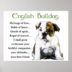 Engelska bulldog-gåvor poster