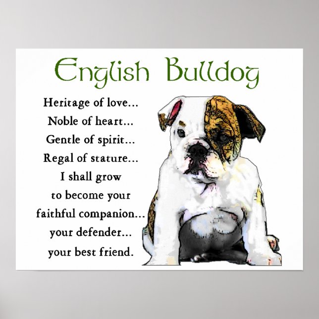 Engelska bulldog-gåvor poster (Framsidan)