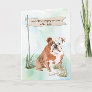 Engelska Bulldog-Grattisar på New Hund Kort