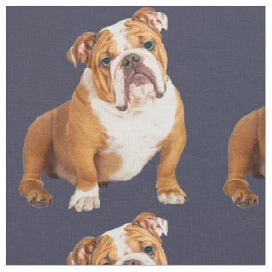 Engelska Bulldog-Hund Tyg