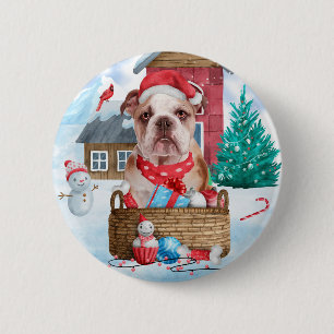 Engelska bulldog i Hund i snö Knapp