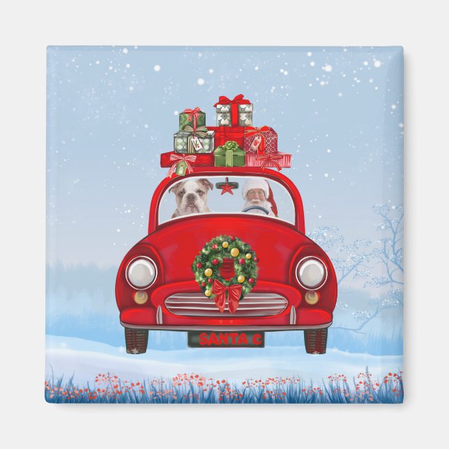 Engelska bulldog in bil with Jultomten Magnet (Framsidan)