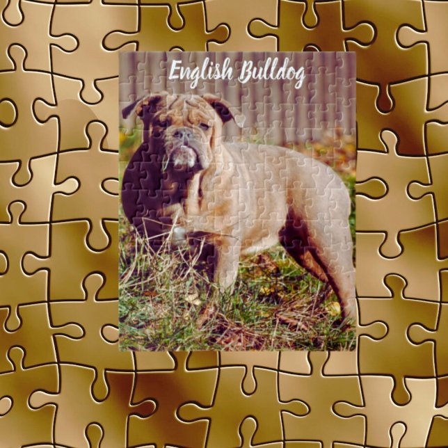 Engelska Bulldog Jigszle Puzzle Game Pussel (Skapare uppladdad)