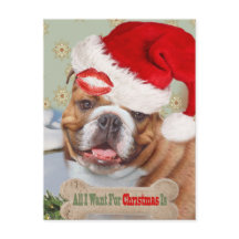 Engelska bulldog Kisses till jul