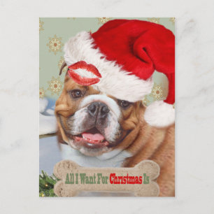 Engelska bulldog Kisses till jul Helg Vykort