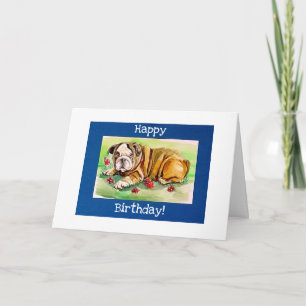 Engelska bulldog kort