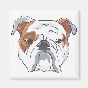 Engelska bulldog magnet