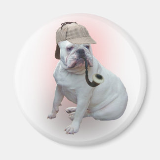 Engelska bulldog magnet