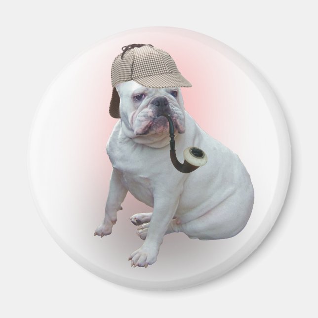 Engelska bulldog magnet (Framsidan)