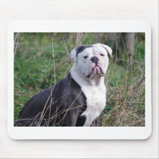 Engelska bulldog musmatta