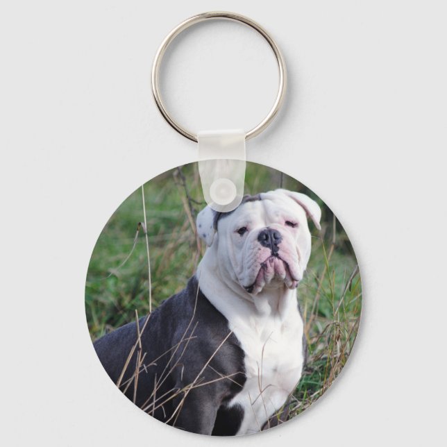 Engelska bulldog nyckelring (Framsida)