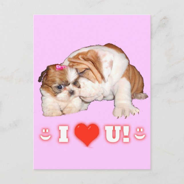 Engelska Bulldog och Shih Tzu I KÄRLEK You Cards Vykort (Framsida)