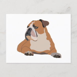 Engelska bulldog Porträtt Vykort