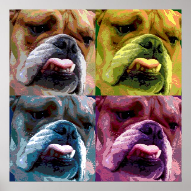 Engelska bulldog poster (Framsidan)