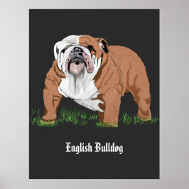 Engelska bulldog poster