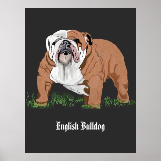 Engelska bulldog poster (Framsidan)