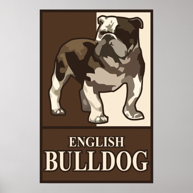 Engelska bulldog Poster (Framsidan)