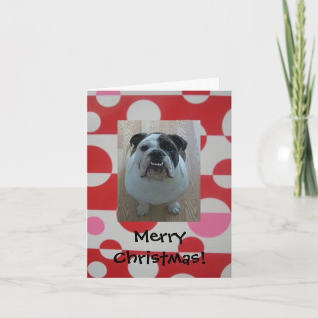 Engelska bulldog puppy God jul-kort Helgkort (Framsida)