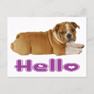 Engelska bulldog Puppy Hund - Hej Lila Heart Vykort