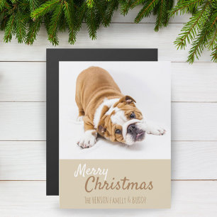 Engelska bulldog Puppy Photo jul-Magnet-kort