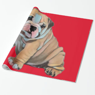 Engelska bulldog Red Presentpapper