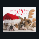 Engelska bulldog Santa and Reindeer Helg Vykort<br><div class="desc">Christmas hundar - Engelska bulldog Tomt och Rudolph på vit bakgrund © och ® Bigstock® - Med reserverade Höger.</div>