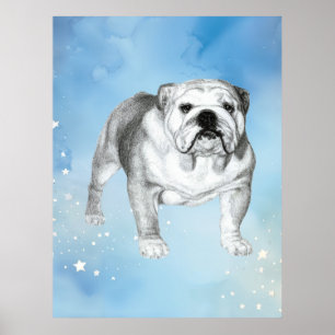 Engelska Bulldog teckning Poster