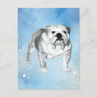 Engelska Bulldog teckning Vykort