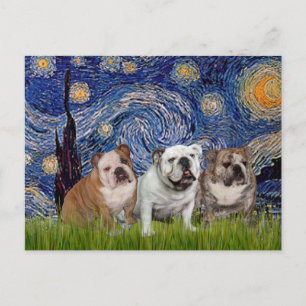Engelska Bulldog Trio - Starry Natt Vykort