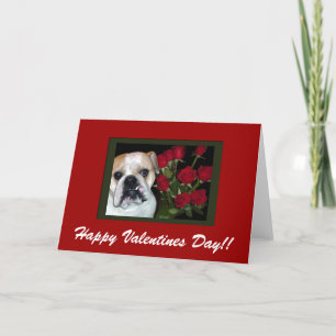 Engelska Bulldog Valentindagskort Helgkort