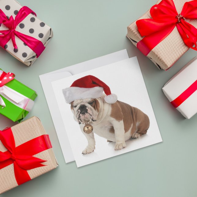 Engelska bulldog Wearing Santa Hat Julkort (Card on table)