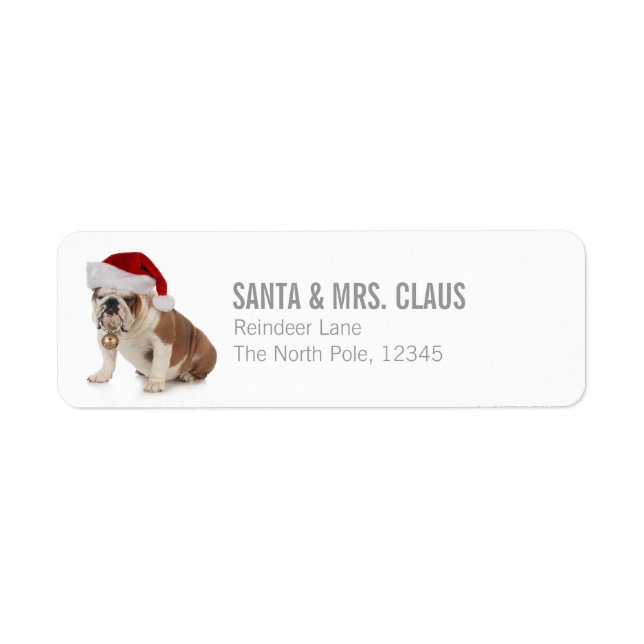 Engelska bulldog Wearing Santa Hat Returadress Etikett (Framsidan)