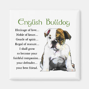 Engelska bulldogggåvor magnet
