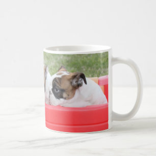 Engelska bulldoggvalpar i en vagn kaffemugg