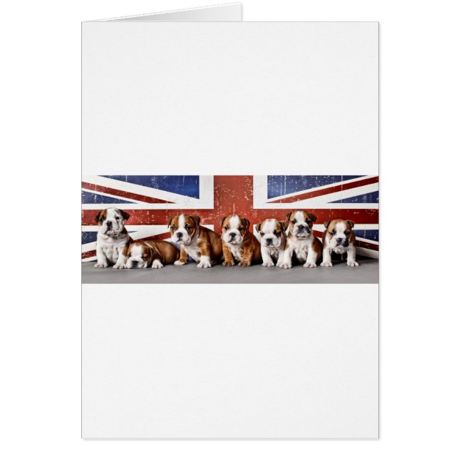 Engelska bullhundvalpar hälsningskort (Framsidan)