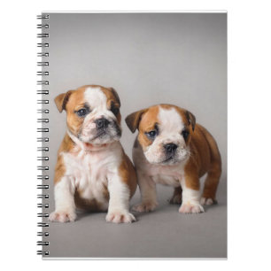 Engelska bullhundvalpar Par Cute Bulldog Anteckningsbok