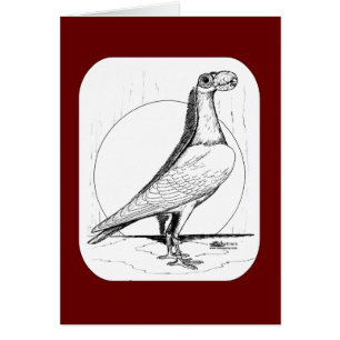 Engelska Carrier Pigeon 1978 OBS Kort