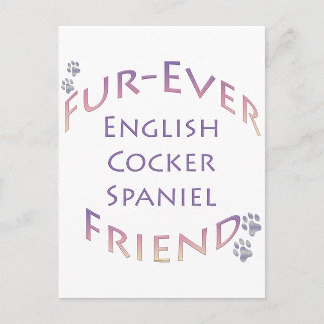 Engelska Cocker Spain Furever, Cocker Kärlek Vykort (Framsida)