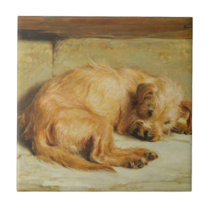 Engelska Cocker Spain Hund (av Briton Rivière) Kakelplatta